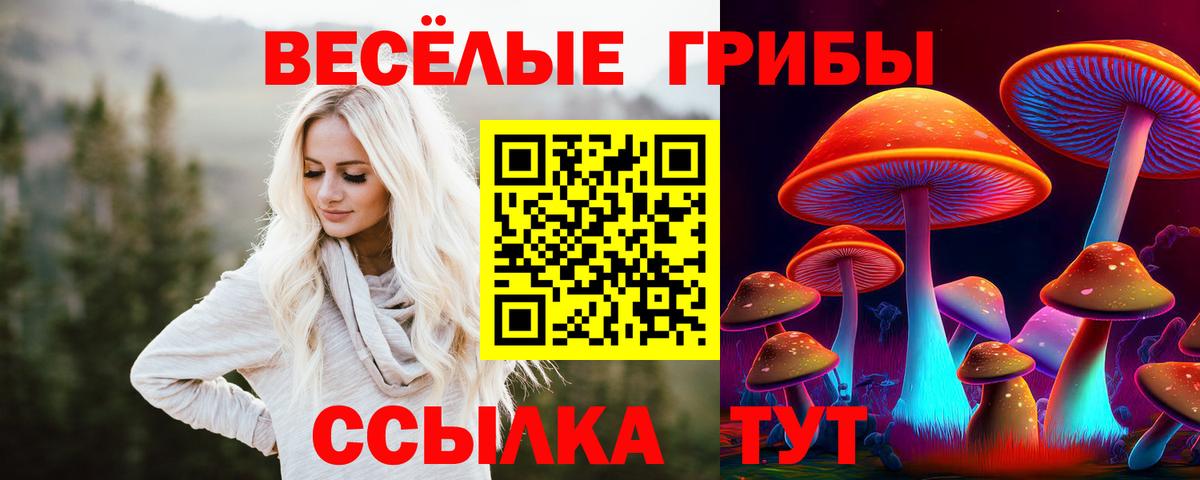 Галлюциногенные грибы MAGIC MUSHROOMS  Вход с VPN  купить наркотик  Урюпинск 